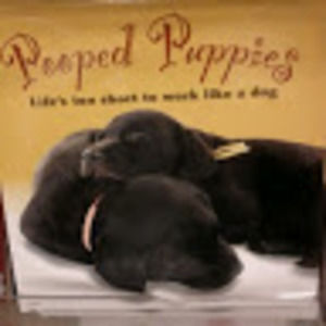 Meet your Posher, Wanetta